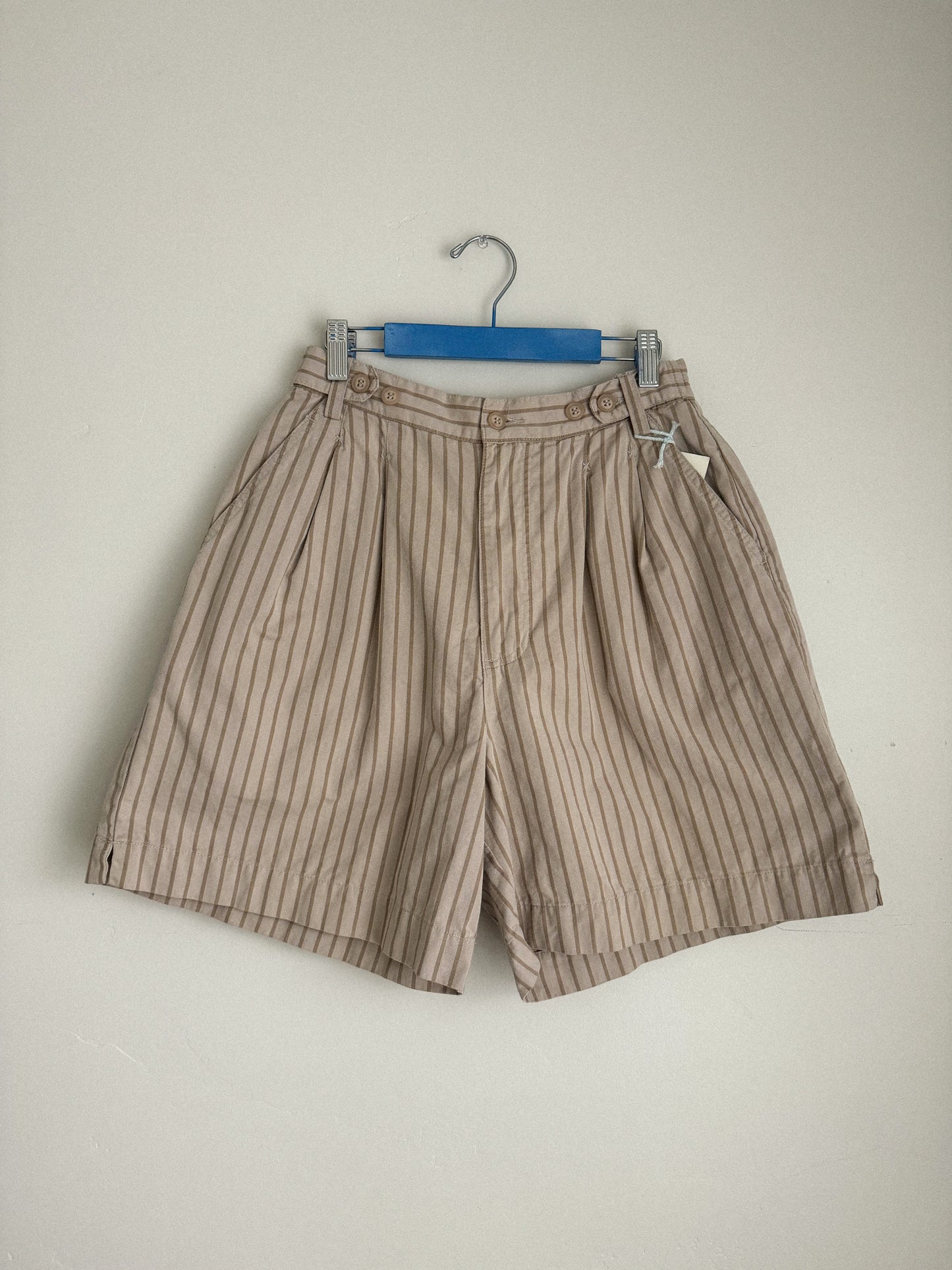 Vintage Pinstripe Neutral Shorts