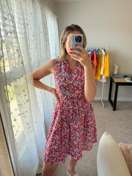 Vintage Berry Dress