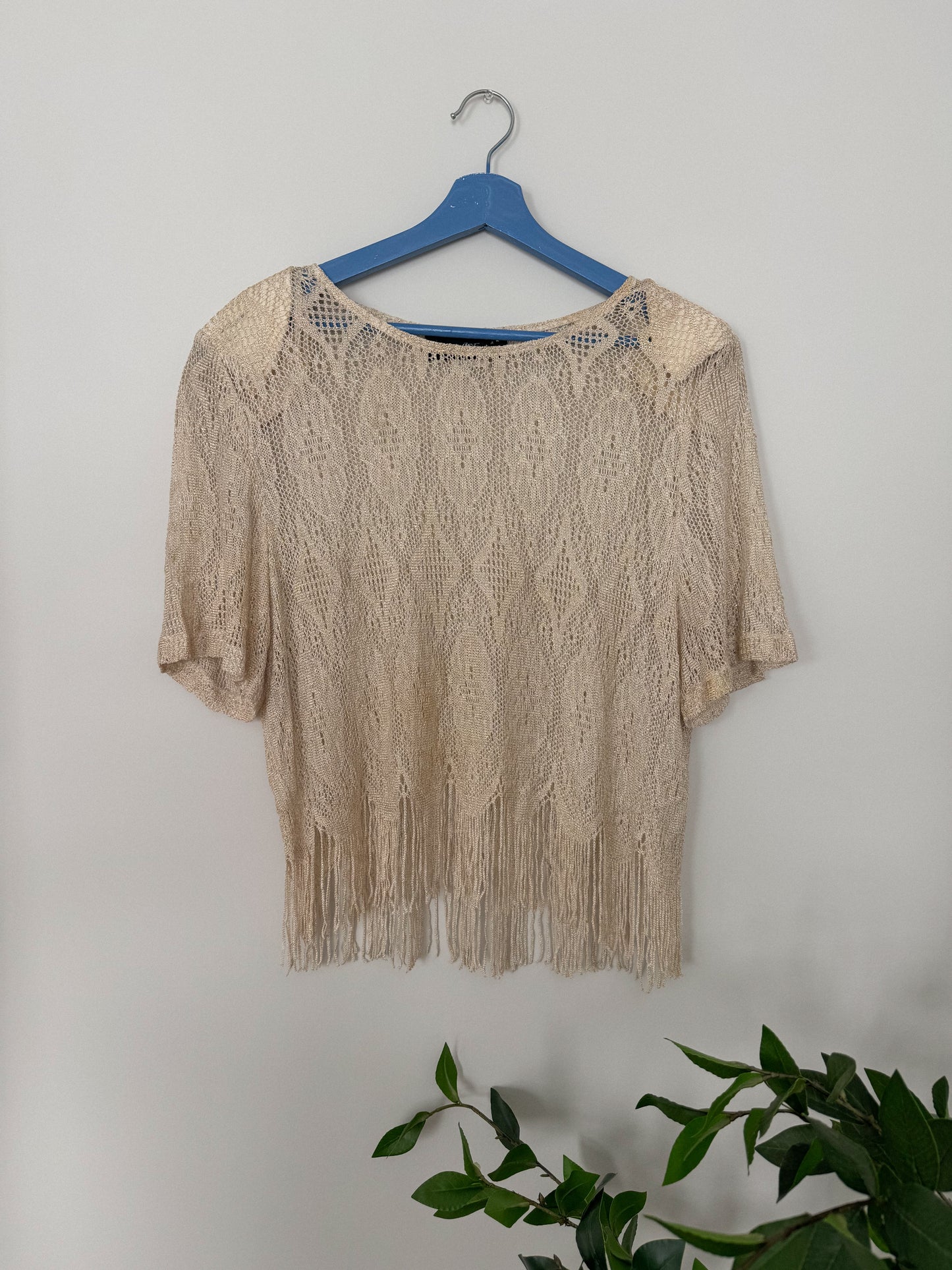 Vintage Lace Fringe Shimmer Top