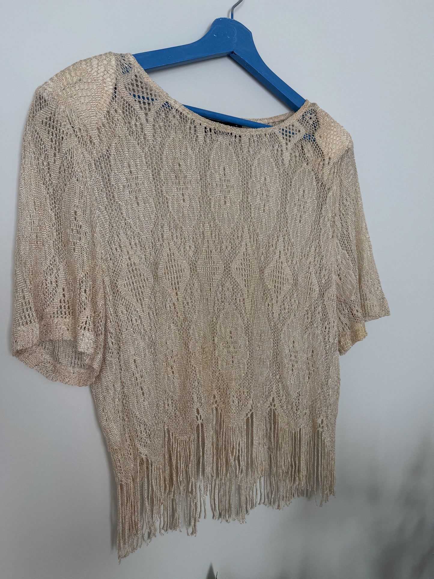 Vintage Lace Fringe Shimmer Top