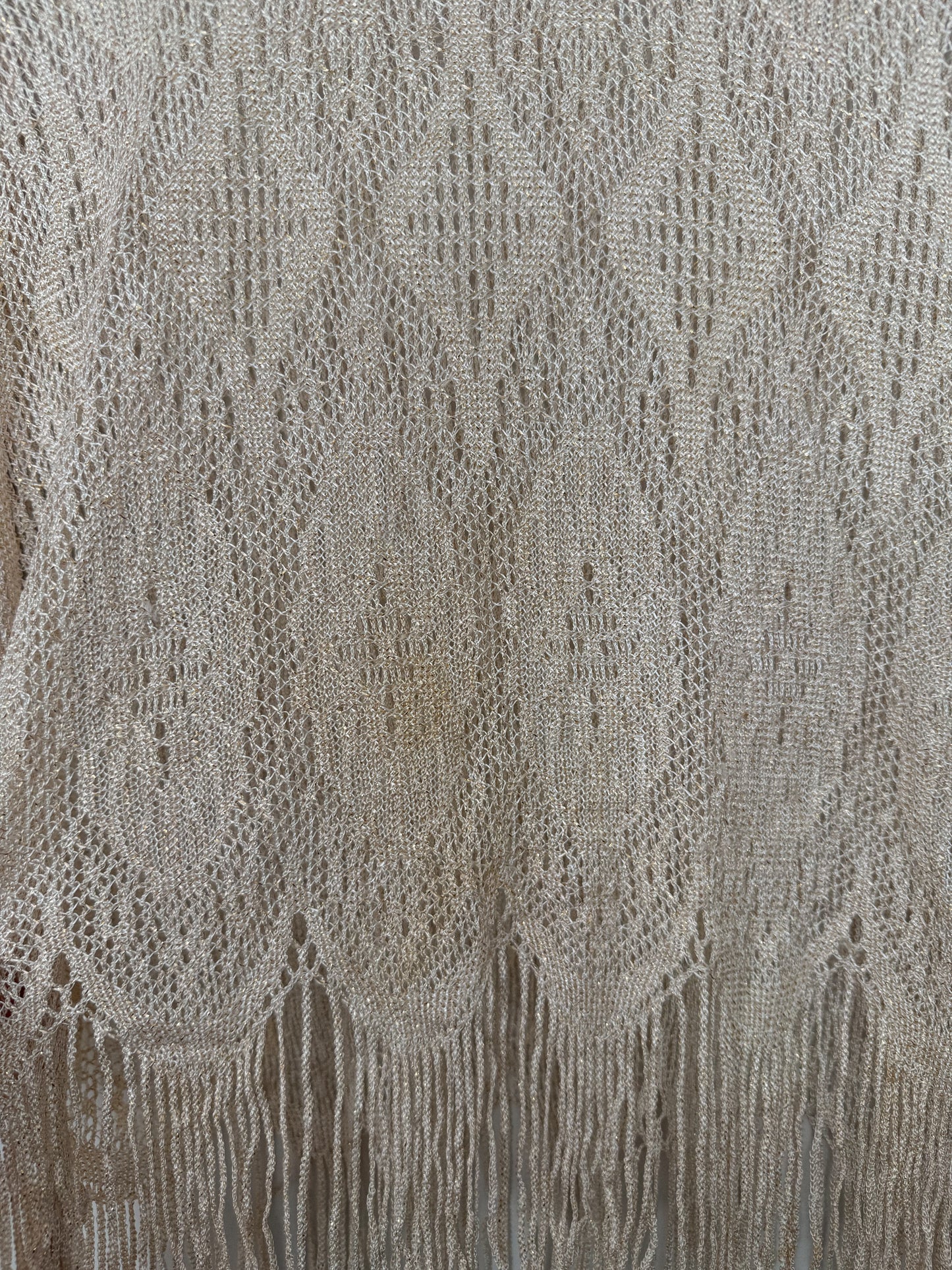 Vintage Lace Fringe Shimmer Top