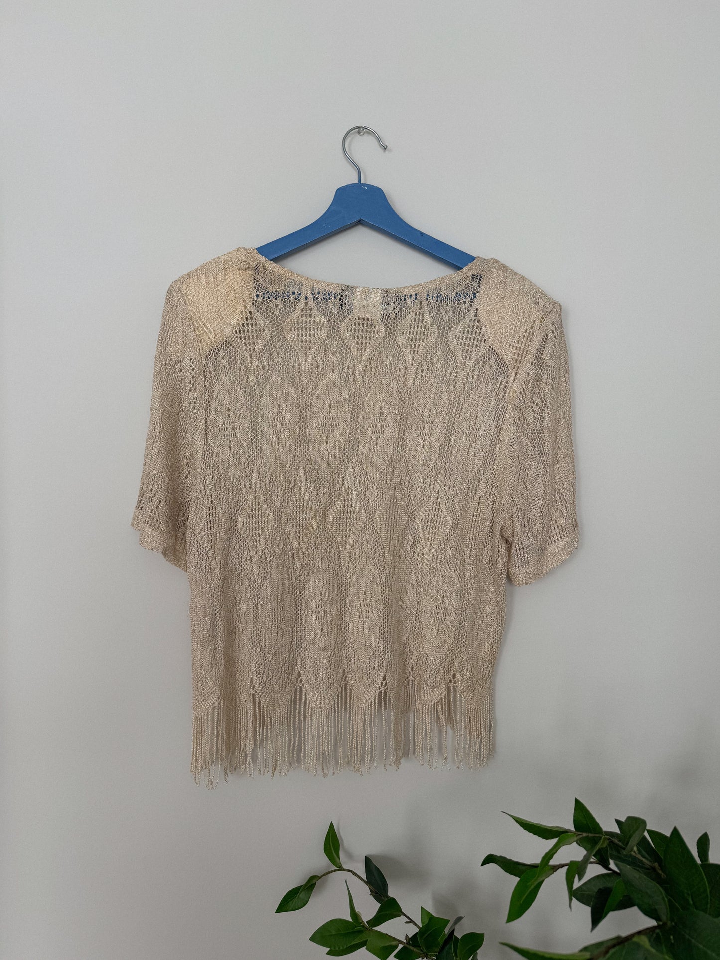 Vintage Lace Fringe Shimmer Top