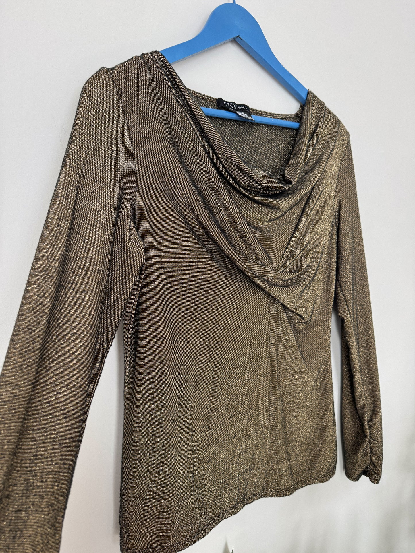 Vintage Shimmer Long Sleeve Top